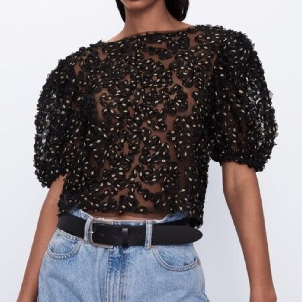 Zara Sheer Mesh Blouse Textured Crop Puff Sleeve Gold Ruffle Top